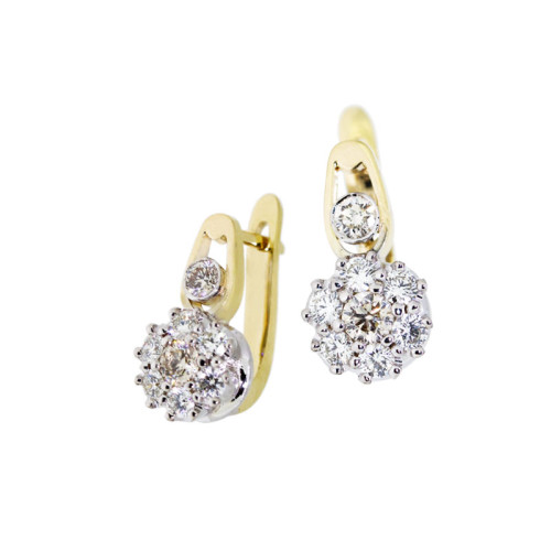 Paradise earrings