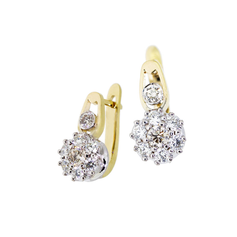 
									Paradise earrings