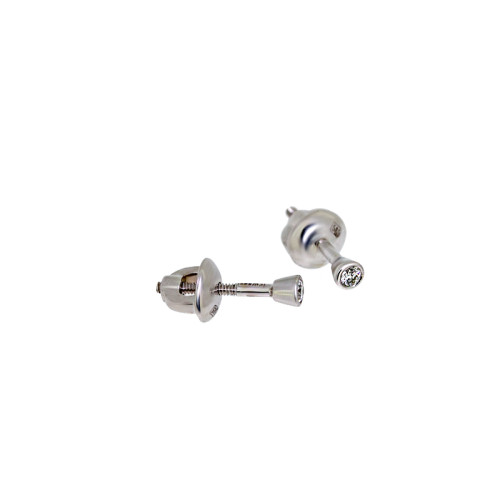 Rhino earrings