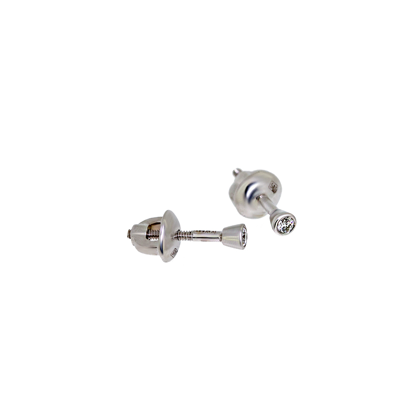 
									Rhino earrings